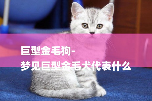 巨型金毛狗-
夢見巨型金毛犬代表什么