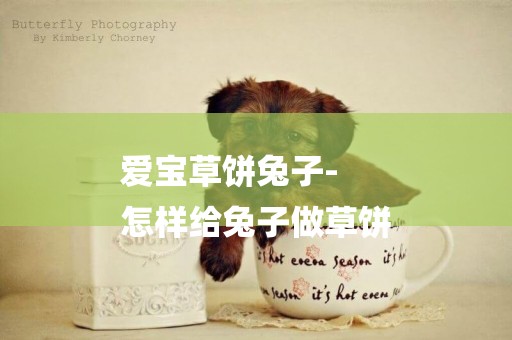 愛寶草餅兔子-
怎樣給兔子做草餅