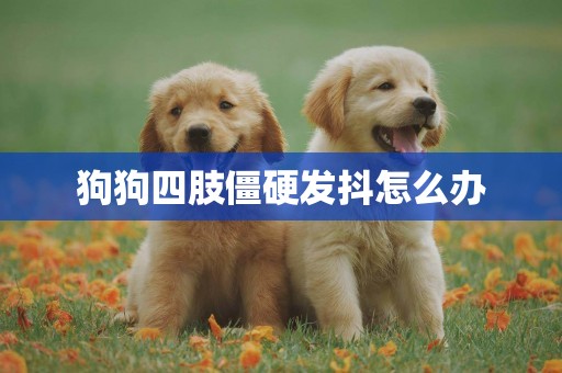 狗狗四肢僵硬發抖怎么辦