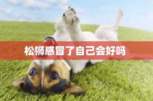 松獅感冒了自己會好嗎 