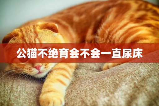 公貓不絕育會不會一直尿床