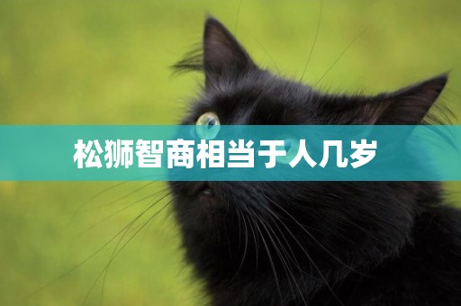 松獅智商相當于人幾歲 