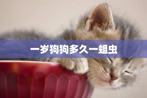 一歲狗狗多久一蛆蟲