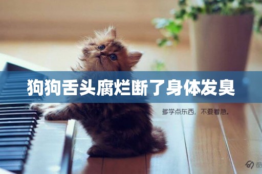 狗狗舌頭腐爛斷了身體發臭