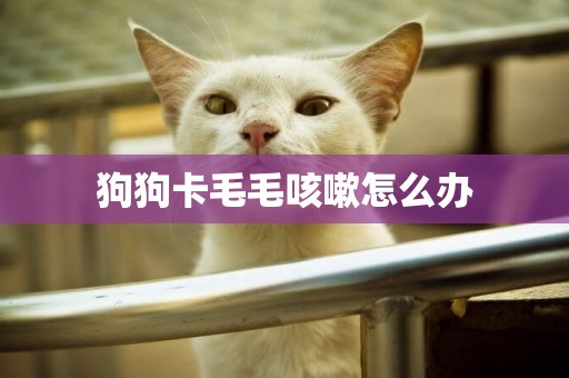狗狗卡毛毛咳嗽怎么辦