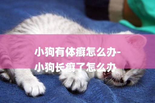 小狗有體癬怎么辦-
小狗長癬了怎么辦