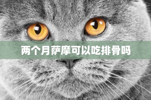 兩個月薩摩可以吃排骨嗎