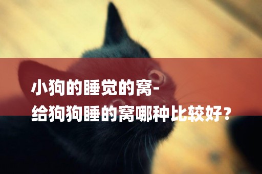 小狗的睡覺的窩-
給狗狗睡的窩哪種比較好？