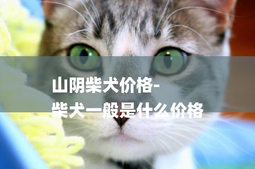山陰柴犬價格-
柴犬一般是什么價格