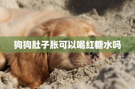 狗狗肚子脹可以喝紅糖水嗎