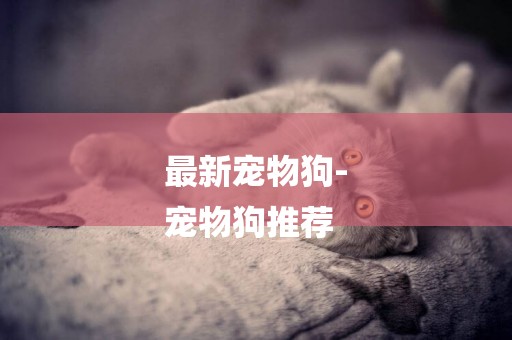 最新寵物狗-
寵物狗推薦
