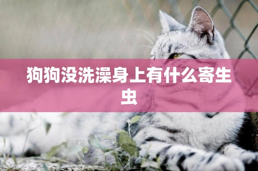 狗狗沒洗澡身上有什么寄生蟲