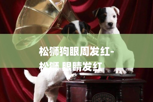 松獅狗眼周發紅-
松獅 眼睛發紅