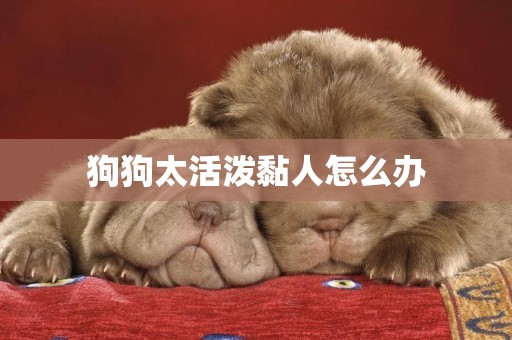 狗狗太活潑黏人怎么辦