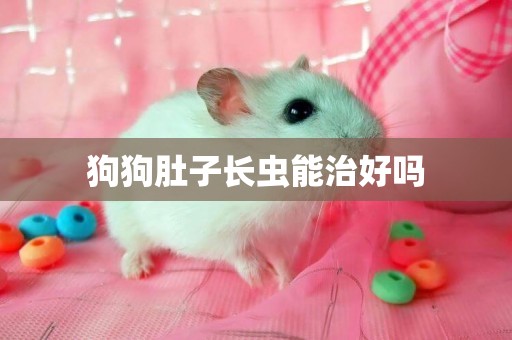 狗狗肚子長蟲能治好嗎
