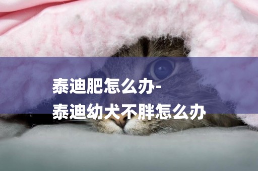 泰迪肥怎么辦-
泰迪幼犬不胖怎么辦