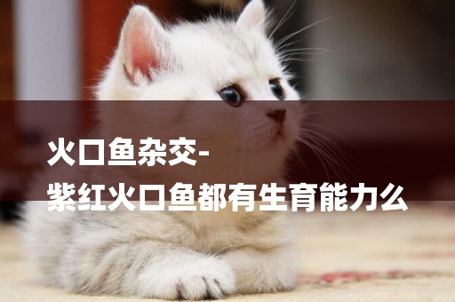 火口魚雜交-
紫紅火口魚都有生育能力么