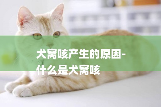 犬窩咳產生的原因-
什么是犬窩咳