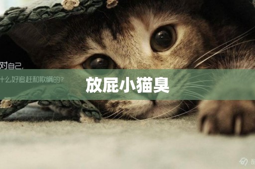 放屁小貓臭