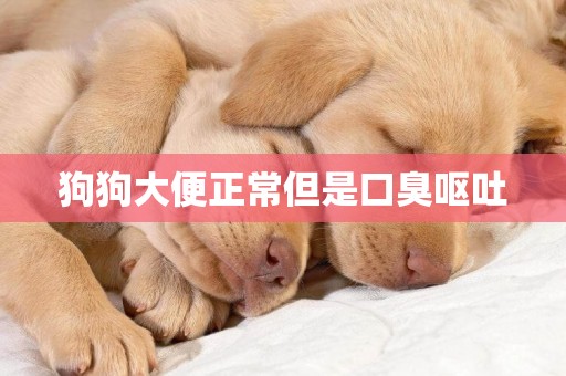 狗狗大便正常但是口臭嘔吐