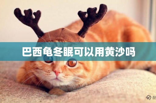 巴西龜冬眠可以用黃沙嗎