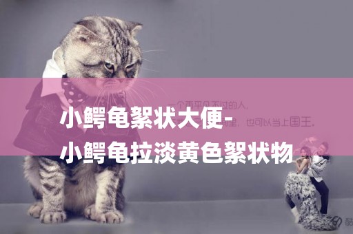 小鱷龜絮狀大便-
小鱷龜拉淡黃色絮狀物