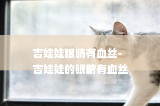 吉娃娃眼睛有血絲-
吉娃娃的眼睛有血絲