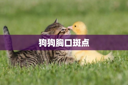 狗狗胸口斑點