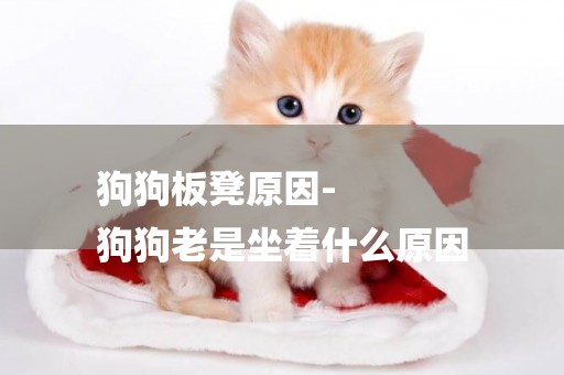 狗狗板凳原因-
狗狗老是坐著什么原因