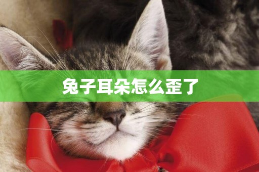 兔子耳朵怎么歪了