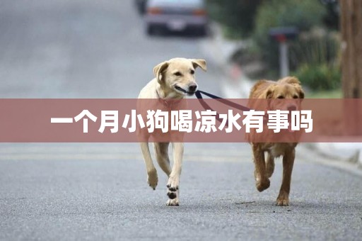 一個月小狗喝涼水有事嗎