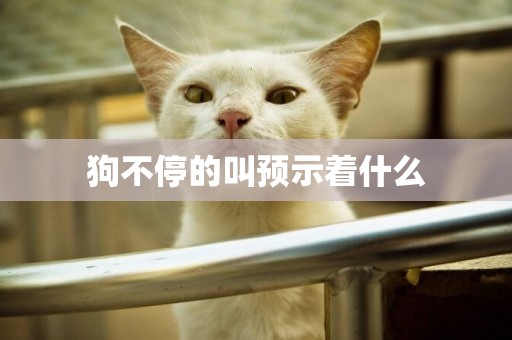 狗不停的叫預示著什么