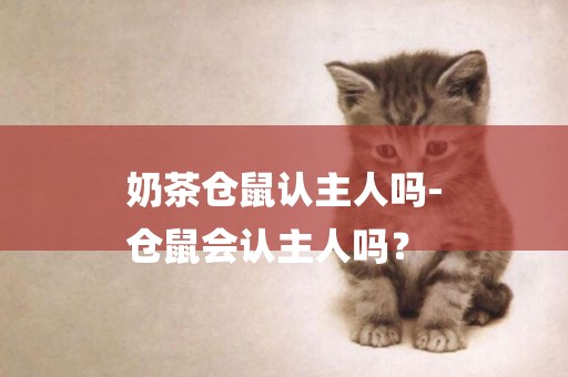 奶茶倉鼠認主人嗎-
倉鼠會認主人嗎？
