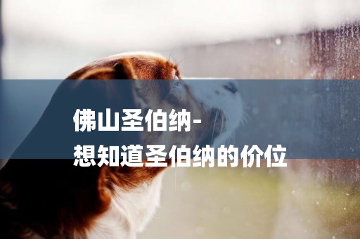 佛山圣伯納-
想知道圣伯納的價位
