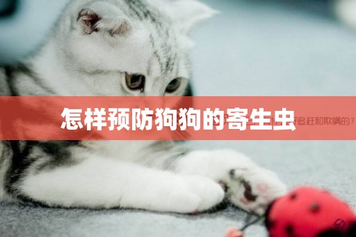 怎樣預防狗狗的寄生蟲