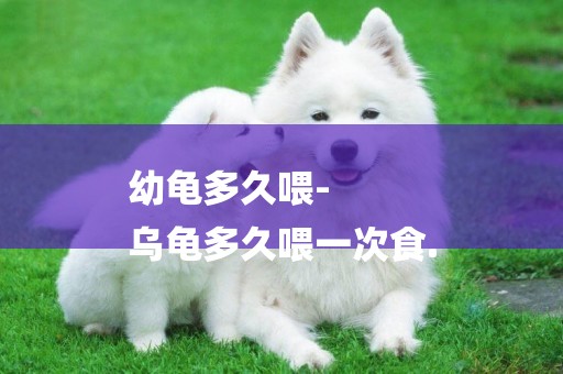 幼龜多久喂-
烏龜多久喂一次食.