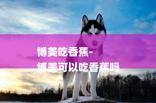 博美吃香蕉-
博美可以吃香蕉嗎