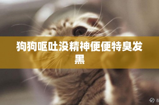 狗狗嘔吐沒精神便便特臭發黑