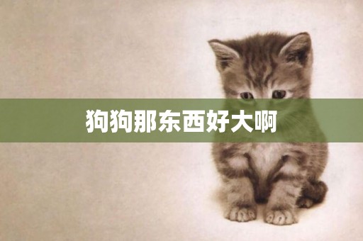 狗狗那東西好大啊