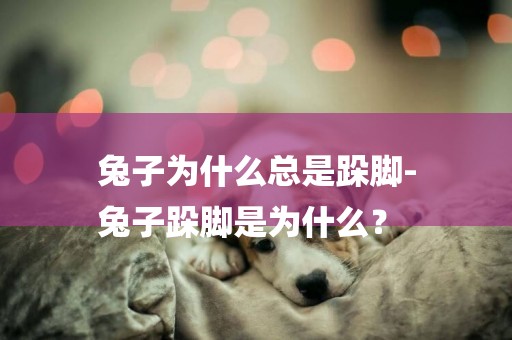 兔子為什么總是跺腳-
兔子跺腳是為什么？