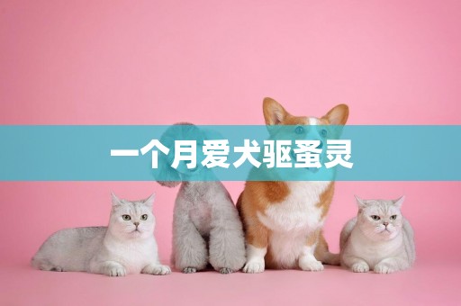 一個月愛犬驅蚤靈