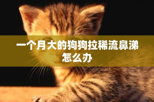 一個月大的狗狗拉稀流鼻涕怎么辦
