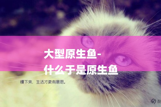 大型原生魚-
什么于是原生魚