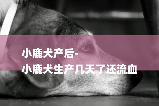 小鹿犬產后-
小鹿犬生產幾天了還流血
