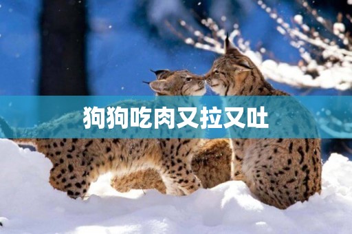狗狗吃肉又拉又吐