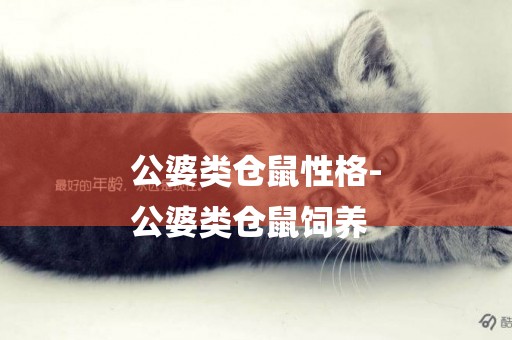 公婆類倉鼠性格-
公婆類倉鼠飼養