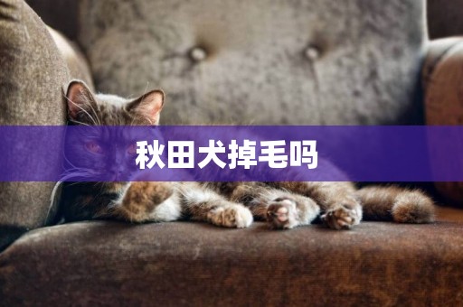 秋田犬掉毛嗎 