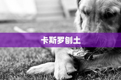 卡斯羅刨土