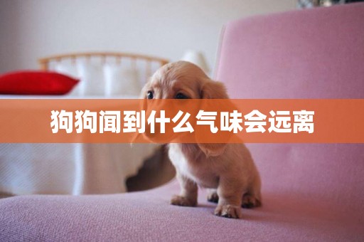 狗狗聞到什么氣味會遠離