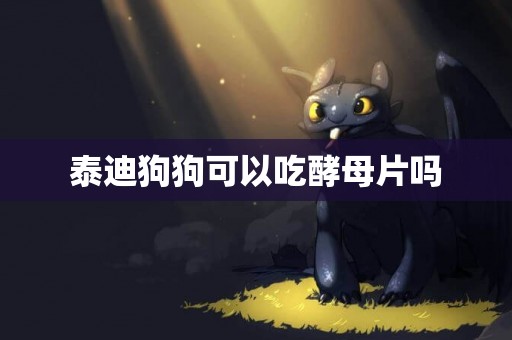 泰迪狗狗可以吃酵母片嗎